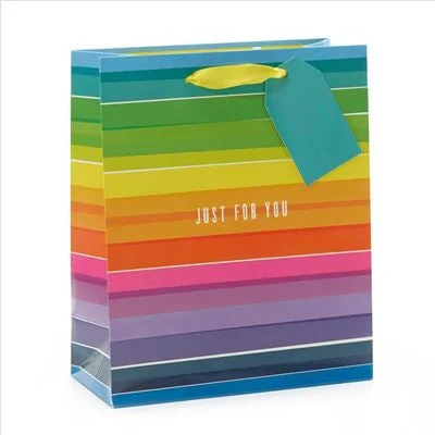Waterproof nylon shopping and gift bags for outdoor giftsGift Bag Medium - Rainbow Stripe Waterproof nylon shopping and gift bags for outdoor giftsGift Bag Medium - Rainbow Stripe