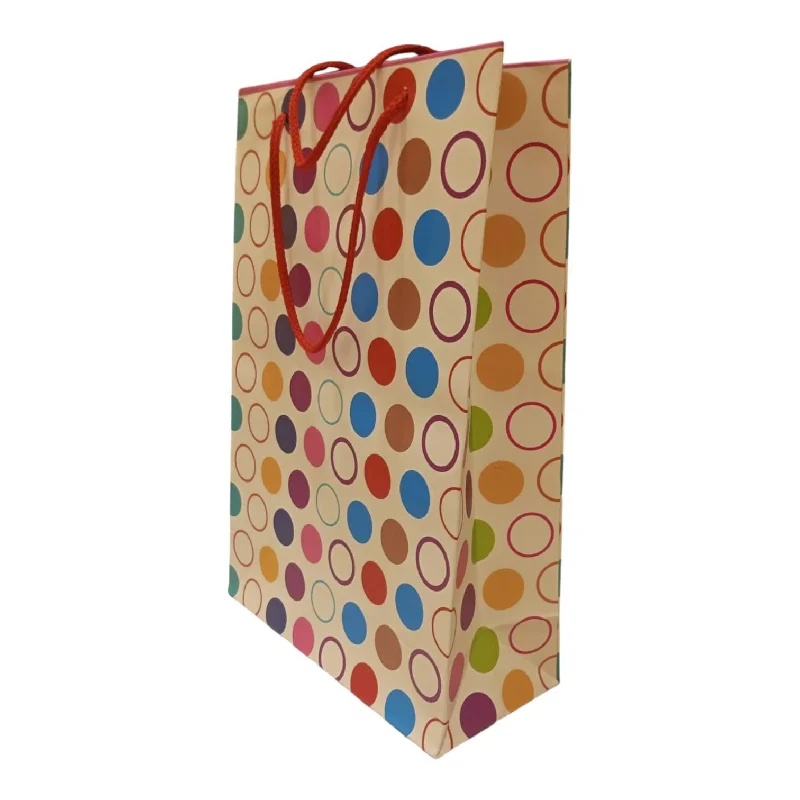 Transparent PVC shopping and gift bags with a decorative ribbon for visibility of contentsGift Bag L (K) Transparent PVC shopping and gift bags with a decorative ribbon for visibility of contentsGift Bag L (K)