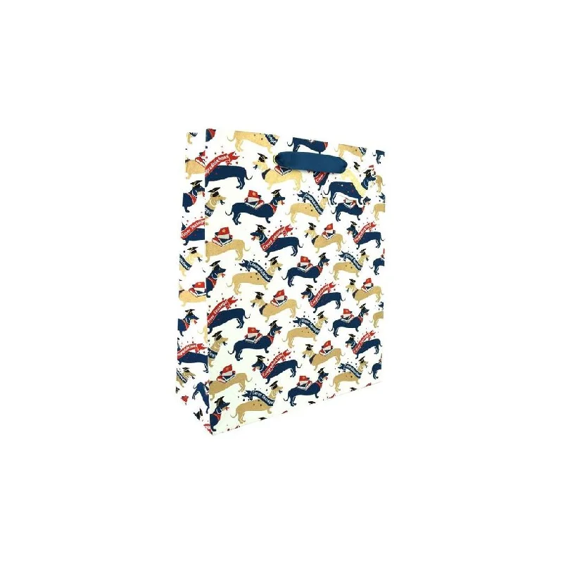 Transparent PVC shopping and gift bags with a decorative ribbon for visibility of contentsClever Sausage Large Gift Bag Graduation Transparent PVC shopping and gift bags with a decorative ribbon for visibility of contentsClever Sausage Large Gift Bag Graduation