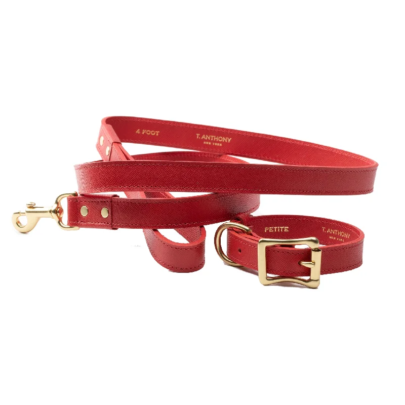 Foldable fabric travel bag for convenient storage when not in useDOG LEASH
